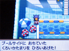 ポケモンスター ハートゴールド ソウルシルバー プレイ日記 カントー編 2 どうぶつの森 と過ごす日々