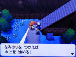 ポケモン ブラック ホワイト 攻略日記 11 タワーオブヘブン フキヨセシティ ネジ山にて どうぶつの森 と過ごす日々