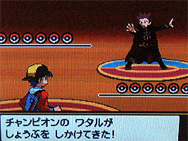 ポケモンスター ハートゴールド ソウルシルバー プレイ日記 どうぶつの森 と過ごす日々