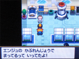 ポケモンスター ハートゴールド ソウルシルバー プレイ日記 18 どうぶつの森 と過ごす日々