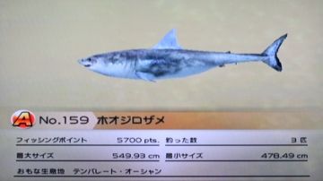 のんびりファミリーフィッシング 43 ホオジロザメ どうぶつの森 と過ごす日々 のんびりファミリーフィッシング 43 ホオジロザメ どうぶつの森 と過ごす日々
