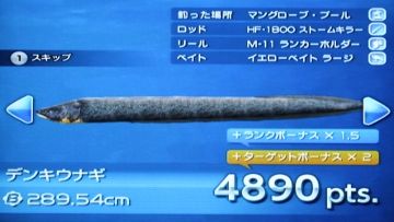 のんびりファミリーフィッシング 48 デンキウナギ パスワード放流魚 どうぶつの森 と過ごす日々 のんびりファミリーフィッシング 48 デンキウナギ パスワード放流魚 どうぶつの森 と過ごす日々