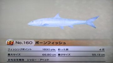 のんびりファミリーフィッシング 18 パチャール ビーチ どうぶつの森 と過ごす日々