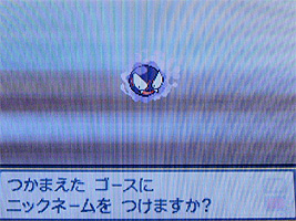 ポケモンスター ハートゴールド ソウルシルバー プレイ日記 4 どうぶつの森 と過ごす日々