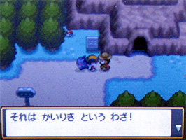 ポケモンスター ハートゴールド ソウルシルバー プレイ日記 12 どうぶつの森 と過ごす日々 ポケモンスター ハートゴールド ソウルシルバー プレイ日記 12 どうぶつの森 と過ごす日々