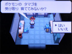 ポケモン ブラック ホワイト 攻略日記 18 七賢人編 どうぶつの森 と過ごす日々 ポケモン ブラック ホワイト 攻略日記 18 七賢人編 どうぶつの森 と過ごす日々