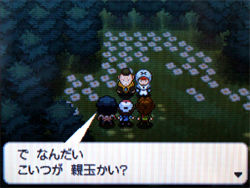 ポケモン ブラック ホワイト 攻略日記 4 シッポウシティ ヤグルマの森にて どうぶつの森 と過ごす日々 ポケモン ブラック ホワイト 攻略日記 4 シッポウシティ ヤグルマの森にて どうぶつの森 と過ごす日々