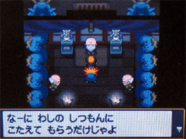 ポケモンスター ハートゴールド ソウルシルバー プレイ日記 18 どうぶつの森 と過ごす日々