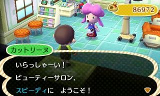 とびだせ どうぶつの森 プレイ日記 ２７ どうぶつの森 と過ごす日々