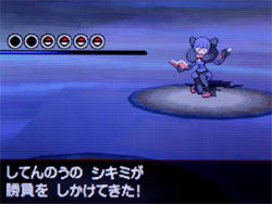 ポケモン ブラック ホワイト 攻略日記 16 ポケモンリーグにて どうぶつの森 と過ごす日々