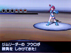 ポケモン ブラック ホワイト 攻略日記 11 タワーオブヘブン フキヨセシティ ネジ山にて どうぶつの森 と過ごす日々