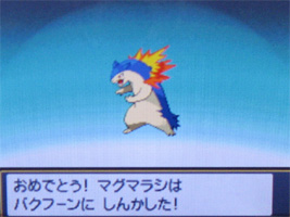 ポケモンスター ハートゴールド ソウルシルバー プレイ日記 10 どうぶつの森 と過ごす日々