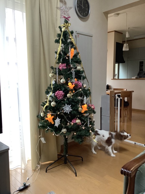 2019-11-12_11-47-17_253