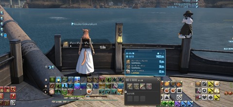 ffxiv_20250316_112355_875