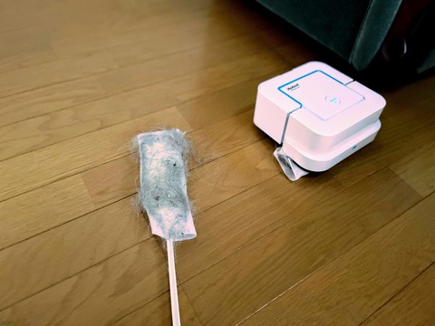 ソファー下の埃