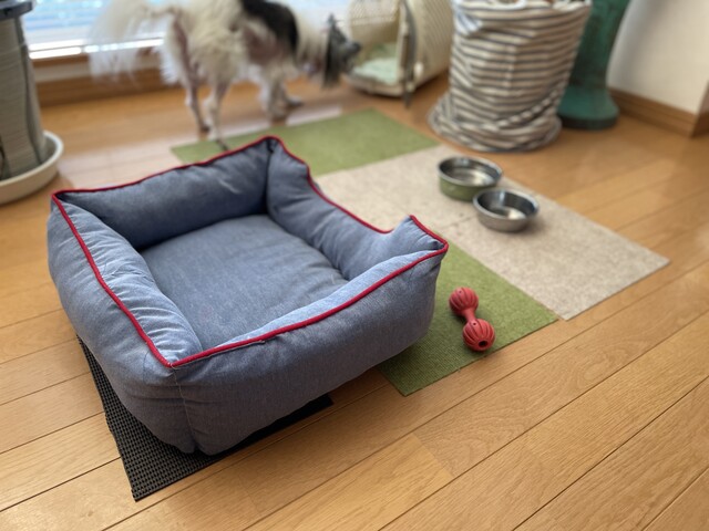 預かり犬 滑らない対策あれこれ あすか倶楽部 多手芸生活と道具作り