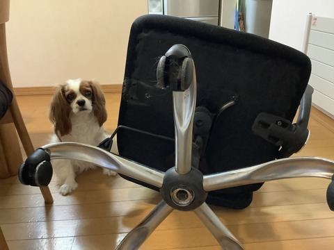 ひじ掛け外し