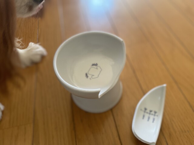 偏食犬 お気に入りのお皿を割ってしまった ご機嫌斜め あすか倶楽部 多手芸生活と道具作り 偏食犬 お気に入りのお皿を割ってしまった ご機嫌斜め あすか倶楽部 多手芸生活と道具作り