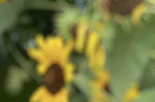 ニキビパッチ 韓国コスメで大人気 ゼロスポットパッチ アスカのblog