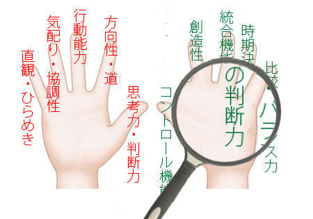 手相拡大
