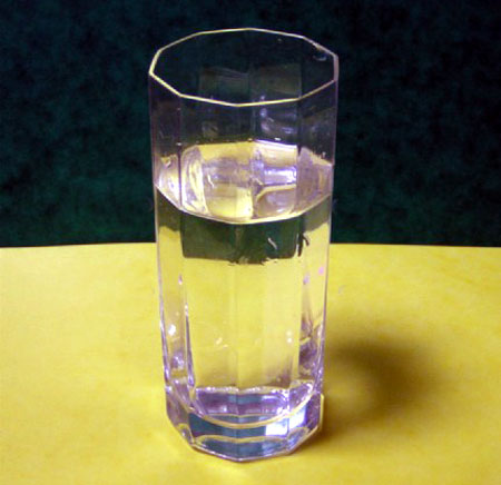 コップの水