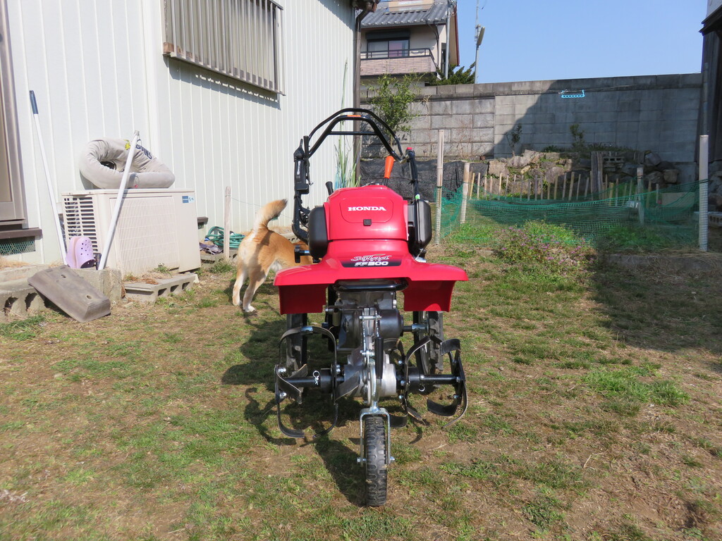 Honda Salad Ff300納車 大昔の首都 明日香村 の隣から Honda Salad Ff300納車 大昔の首都 明日香村 の隣から
