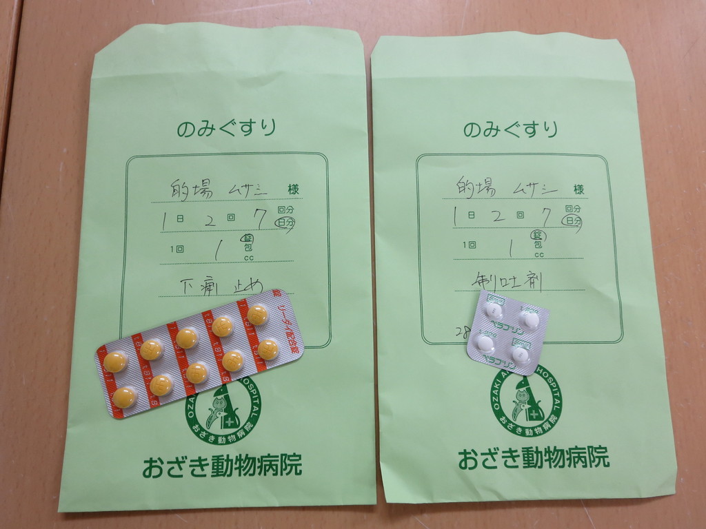 ムサシ 腸炎になちゃった T T 大昔の首都 明日香村 の隣から