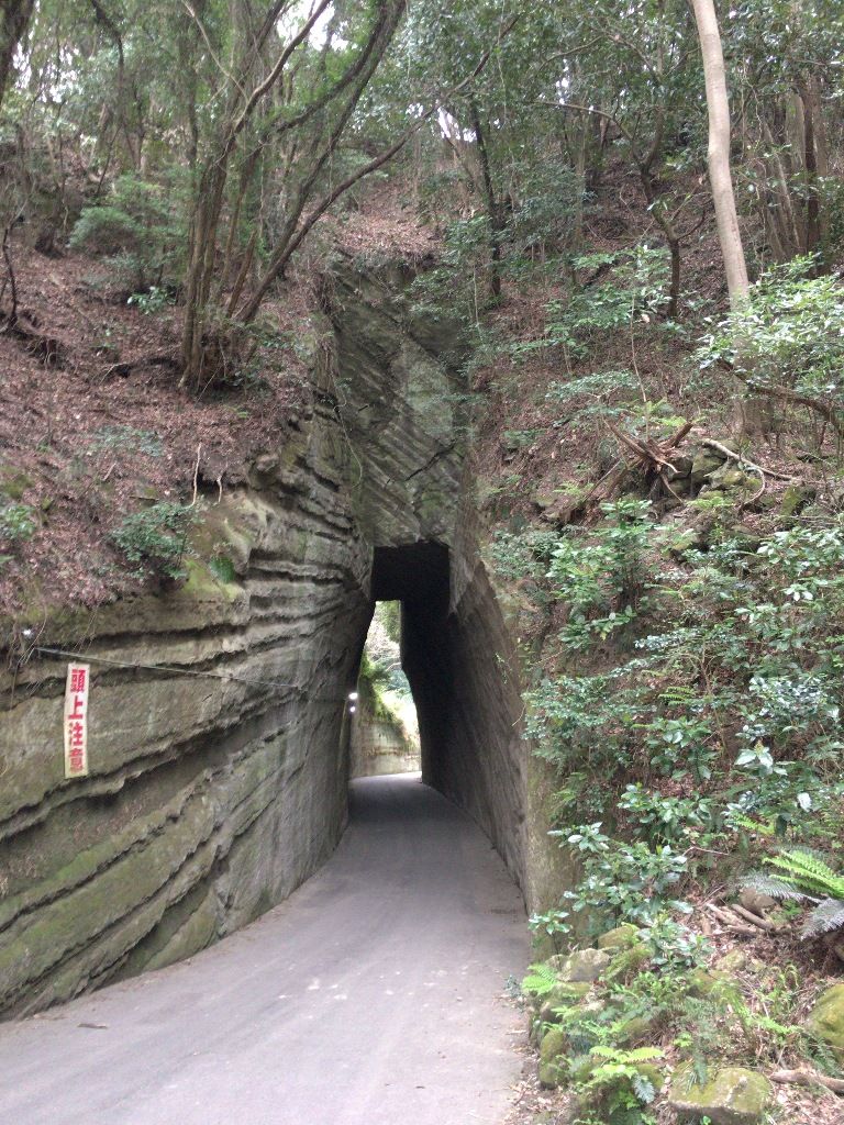 造海城 城っぷ 造海城 城っぷ