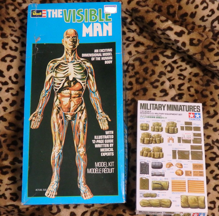 レベルTHE VISIBE MAN /THE VISIBE WOMAN 人体模型 レベルTHE VISIBE MAN /THE VISIBE WOMAN 人体模型 人体模型