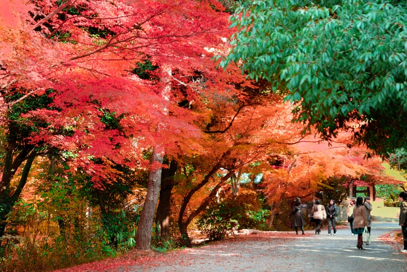 天気 の 伊賀 市