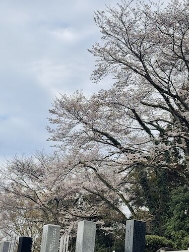 IMG_9176