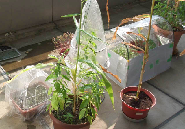 百均材料で変わり種ビニールハウス自作 A T Field Ride On Idea 100均活用の茶屋