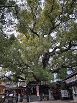 くんがいしょう