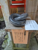 PXL_20230716_025517667