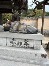 神牛
