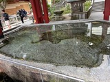 手洗舎