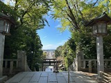 光の道