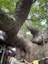 2A1CF6F5-F0AF-40F6-BB63-D902729C8F76