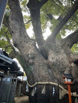 F32FB2D3-3AC9-4089-909F-31CBA32DAECE