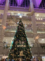IMG_8962