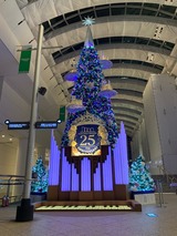 IMG_8393