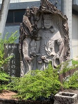 IMG_7529