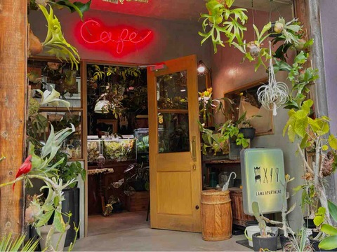 植物いっぱいの隠れ家？「CAFE LAMA」(刈谷市)