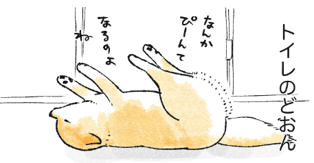 どおん10