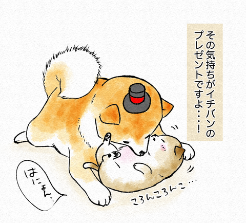 スクリーンショット 2019-05-28 17.00.25