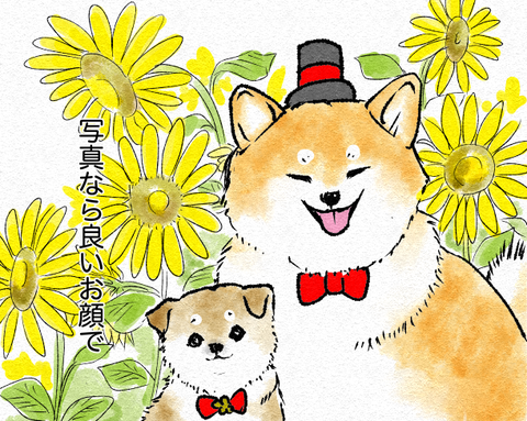 スクリーンショット 2019-05-28 17.00.35