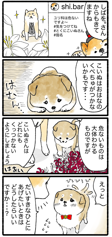 スクリーンショット 2019-05-28 17.00.12