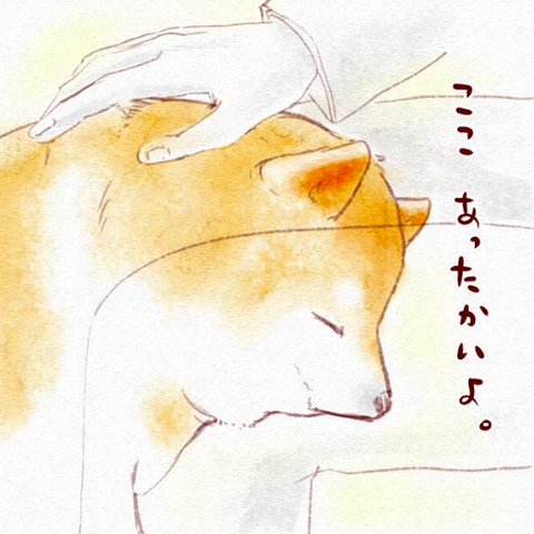 スクリーンショット 2019-04-04 16.20.13