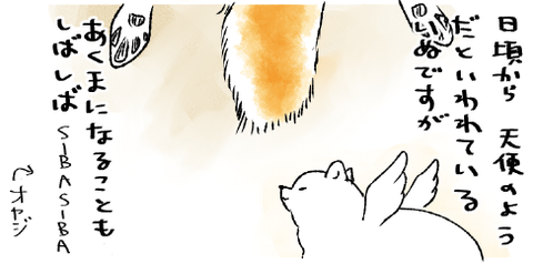 スクリーンショット 2019-10-04 18.22.18