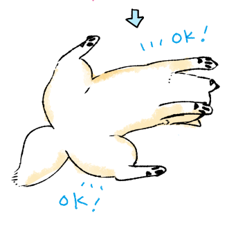 どおん13